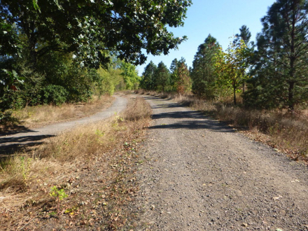 Two parallel trails - year-round gravel trail on the left - seasonal gravel trail, less maintained, on the right